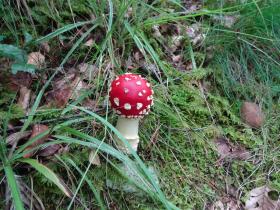 photo coins arrondis